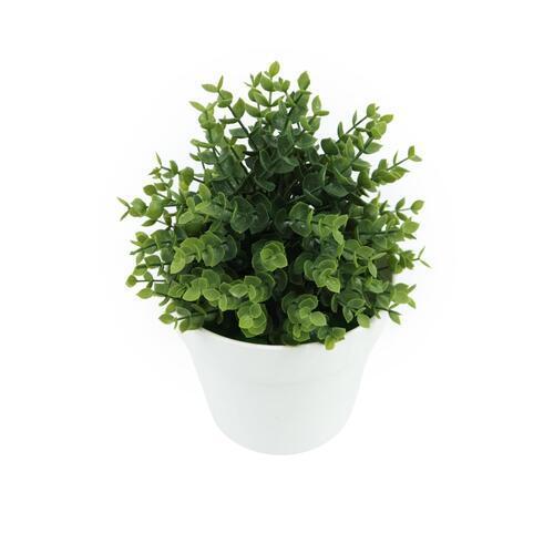 Botanicals Collection Artificial Eucalyptus Plant In Pot 16cm