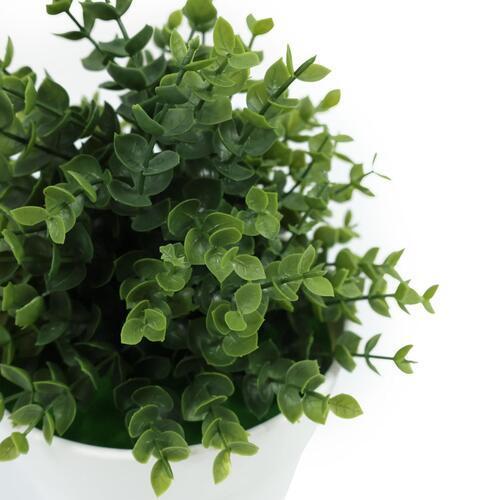 Botanicals Collection Artificial Eucalyptus Plant In Pot 16cm