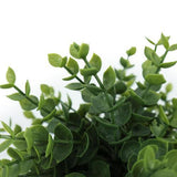Botanicals Collection Artificial Eucalyptus Plant In Pot 16cm