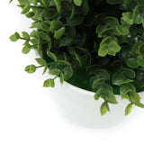 Botanicals Collection Artificial Eucalyptus Plant In Pot 16cm