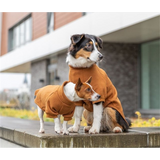 Sweatshirt for Dogs - Amsterdam S/36cm (Rust)