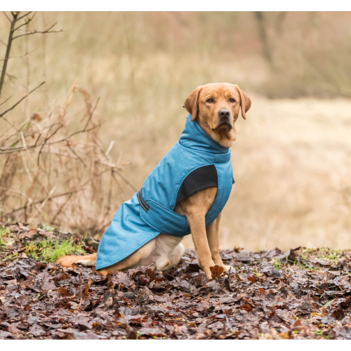Winter Coat for Dogs - Riom XS/30cm (Blue)