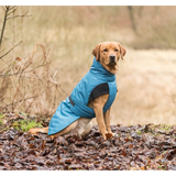 Winter Coat for Dogs - Riom XS/30cm (Blue)