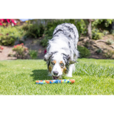 Eco Fetch Stick