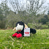 Dog Toy - Lamb Chop Black (25cm)