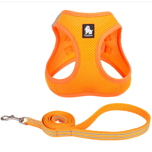Mesh Harness & Lead Set - Flouro Orange (2XS)