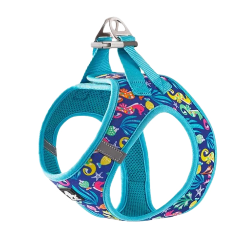 Fashion Mesh Harness - Blue Atoll (XS)