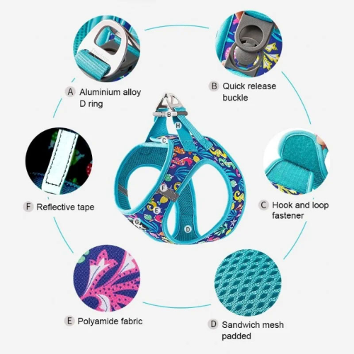Fashion Mesh Harness - Blue Atoll (Large)