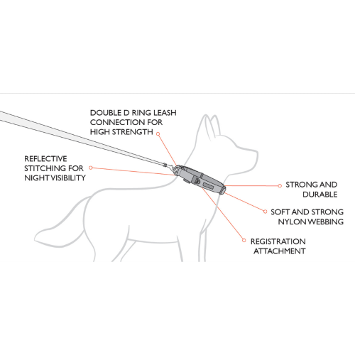 ED Dog Collar - Double Up Black Denim (Large)