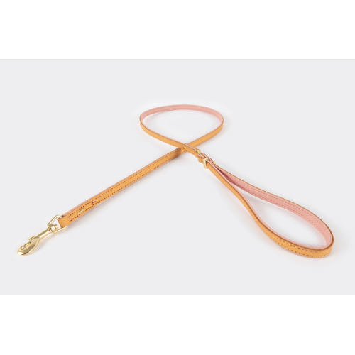 ED Dog Leash - Oxford Blush Lite (120cm)