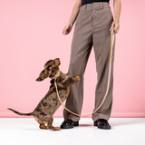 ED Dog Leash - Oxford Blush Lite (120cm)