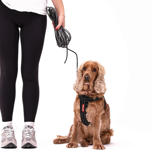 ED Dog Collar - Slimline Track n Train Leash Black (5m)