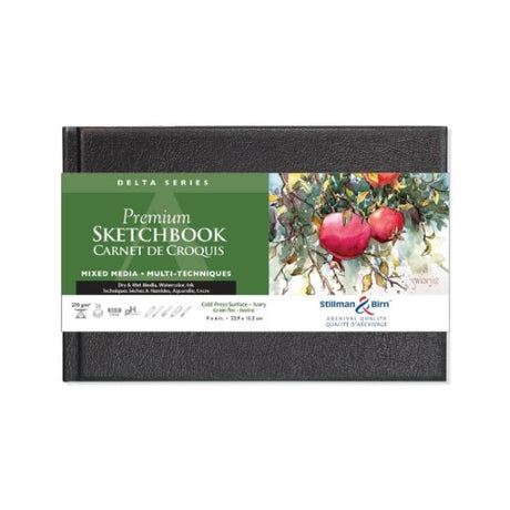 Stillman & Birn DELTA Hardback sketchbook, 9x6 inches, 270gsm paper for wet and dry media, durable and versatile.