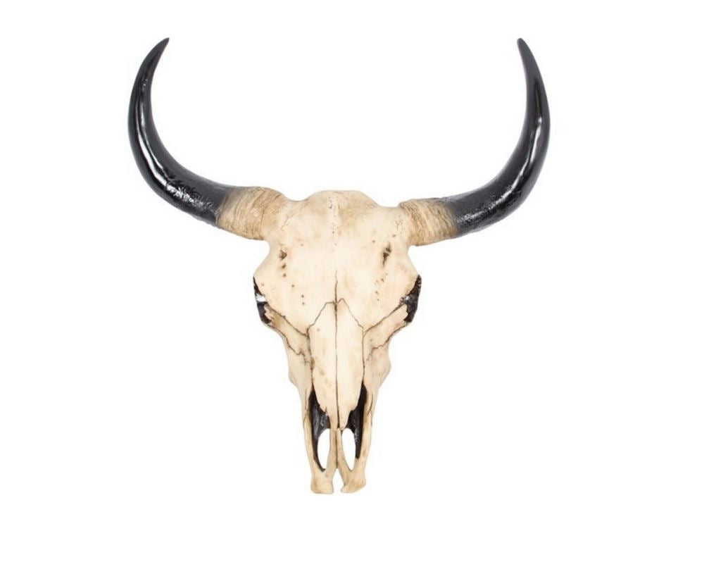 Cow Animal Skull Wall Hanger - 30cm