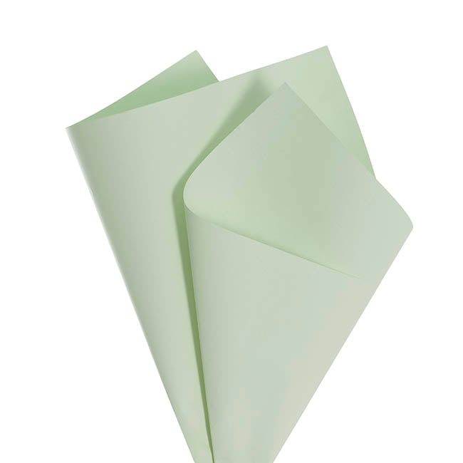 Kraft Paper Coloured 80gsm Deep Sage Pack of 100