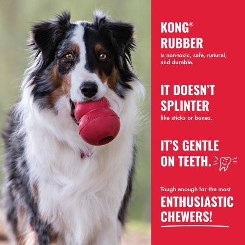 Dog Treat Toy Goodie Bone KONG XL