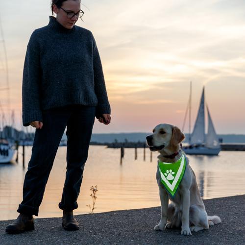 Dog Reflective Neckerchief Trixie S-M 29-42cm