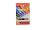 Artist Pencils - 8756/12s Progresso Col Pencils