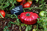 Tomato-Cocotte-Staub-Ceramic-05L