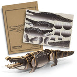 Wooden Model - BRANDCRAFT Crocodile