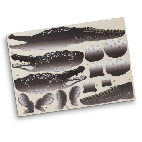 Wooden Model - BRANDCRAFT Crocodile