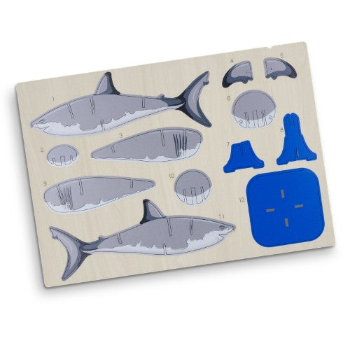 Wooden Model - BRANDCRAFT Shark