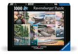 Ravensburger West Coast Tranquility Puzzle 1000 Pieces