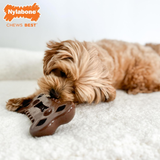 Dog Toy - Flexi Chill & Chew Flavor Medley (Wolf)