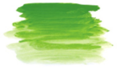 Vibrant 1 Litre Green Light acrylic paint for artists, offering quick-drying, smooth application and excellent coverage.