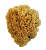 Royal 2007 4" Sea Wool Sponge for artists, made of natural sea wool for excellent paint application and blending.