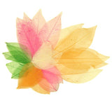 Craft - Skeleton Leaves
