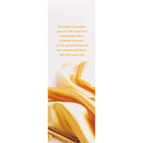 Avalanche Drinking Chocolate White Chocolate 99% Sugar Free