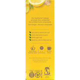 Healtheries Fruit Tea Lemon & Ginger