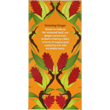 Pukka Herbal Tea Three Ginger Sachets 20pack