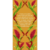 Pukka Herbal Tea Three Ginger Sachets 20pack
