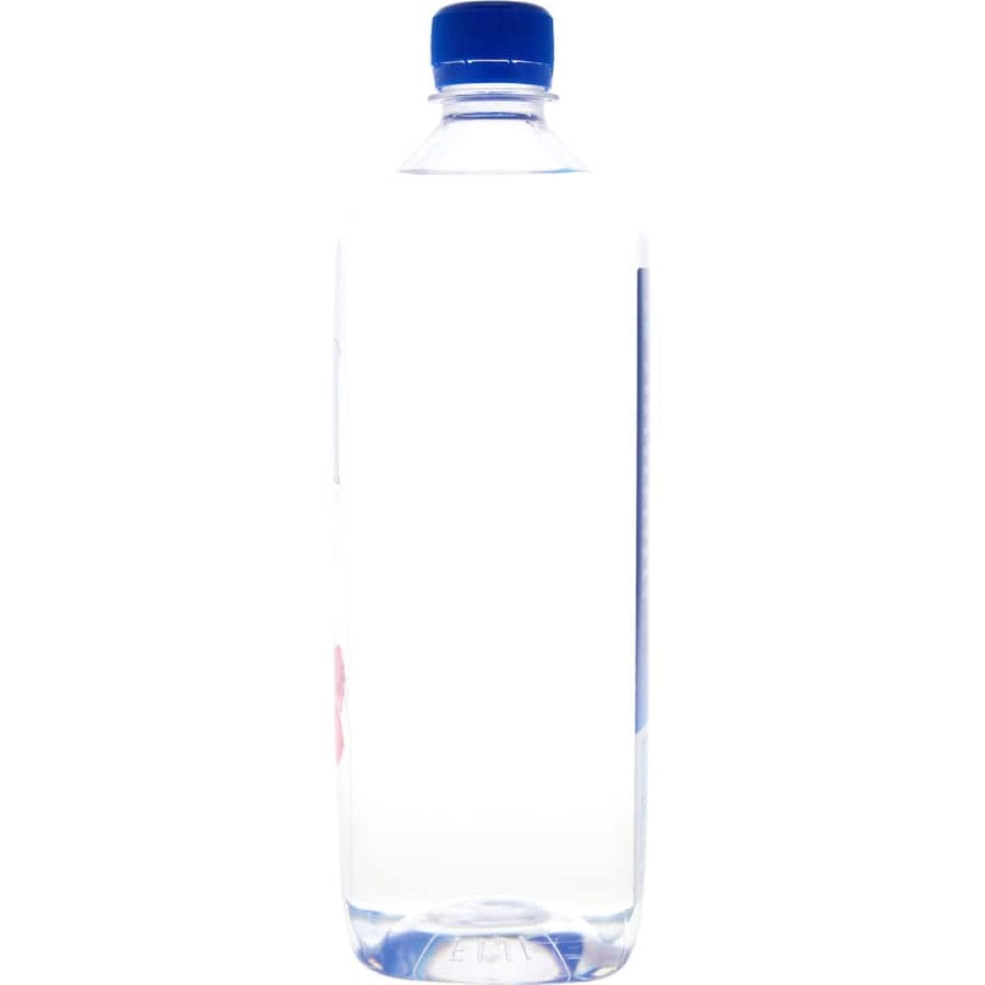 Fiji Water Natural Artesian 1L