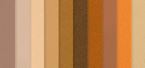 Canson Mi-Teintes Tonal Paper Packs - Brown Tones A3 20sht