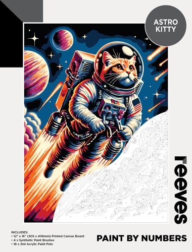 Paint By Numbers - Astro Kitty