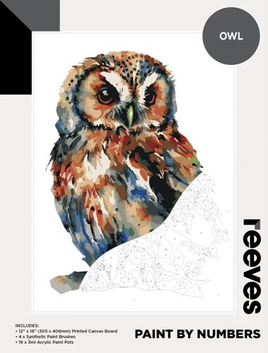Paint By Numbers - Owl