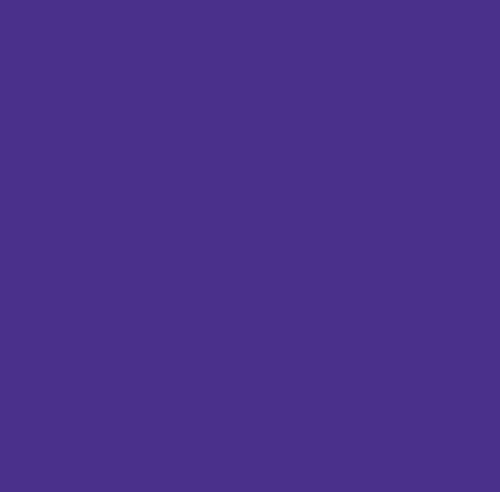 Jacquard Acid Dye 14.17g - Vivid Violet 644
