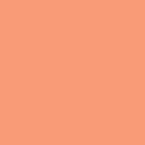 Jacquard Stacey Park Premium Dye Ink Pads - Orange Pop