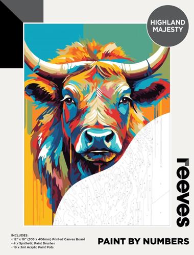 Paint By Numbers - Highland Majesty