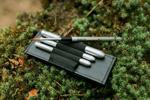 Princeton AquaElite Travel Brush Set - Travel Set 4