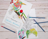 Jasart Adult Colouring Books - Colouring Book A4 Animals