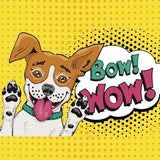 Diamond Dotz Dotz Box Large - Bow Wow