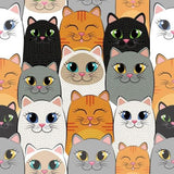 Diamond Dotz Dotz Box Large - Cat Clan