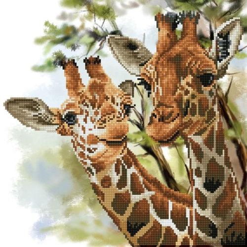 Diamond Dotz Diamond Kit  - Tall & Tender 40x40cm