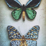 Diamond Dotz Diamond Kit  - Antique Butterflies 45x60cm