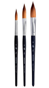 Princeton Aqua Elite Prism Brushes (SH) - Size 8