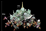 Eucalyptus Bush with Red Edges (Green / Red)